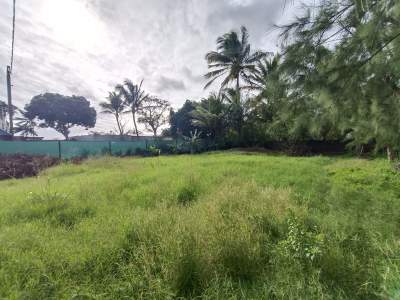Residential Land for Sale – Belle Vue Pilot (Main Road) - Land