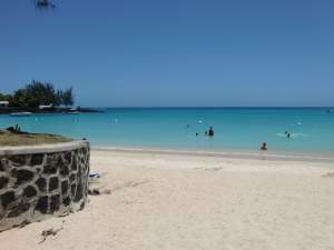 gardiennage gratuit maison animaux - Dogs on Aster Vender