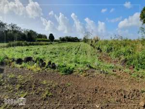 ️Agricultural land of 1 arpent is for sale in Poudre D'or Hamlet - Land on Aster Vender