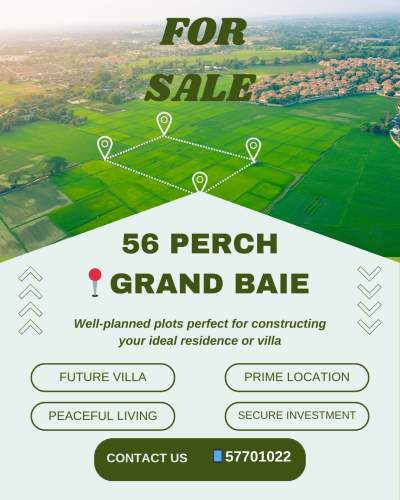 Golden Opportunity Land For Sale - Land