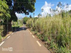 24 perches residential land in Ilot,Pamplemousses - Land on Aster Vender