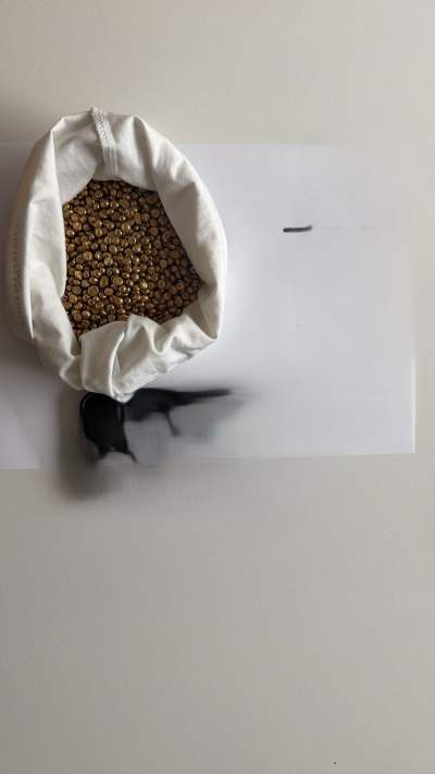 GOLD NUGGETS AND BARS +27 787 930 326 QUALITY CARATS - Body Jewellery