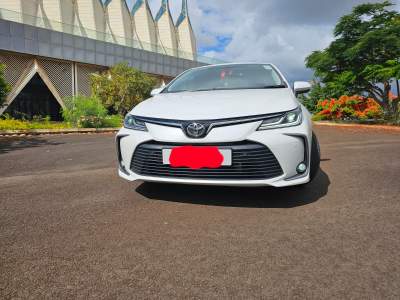 TOYOTA COROLLA 2023 - Family Cars