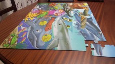 Giant Floor puzzle - Puzzle games on Aster Vender