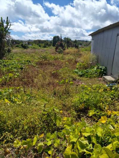 8 perches La Marie - Land on Aster Vender