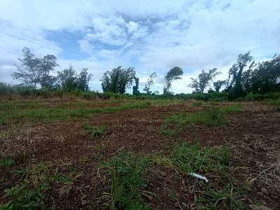 For Sale 14 perches land Riambel - Land