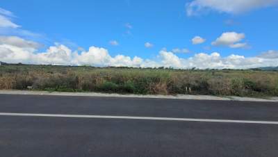 7 and 9.5 perches Morcellement Pierrefonds Palma - Beau Songes - Land