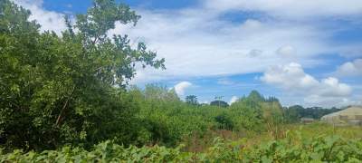 LAND FOR SALE - Land