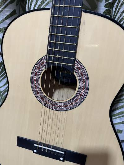 GUITARE ACOUSTIQUE JACKSON - Accoustic guitar