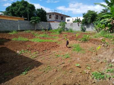 residential land for sale4 - Land