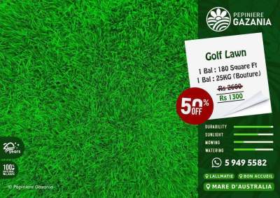 50% Off - Gazon Natural - Garden Decorations