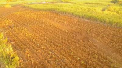 A splendid piece of land for sale at Providence (2.06 arpents) - Land