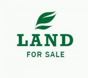 5p @ Oillier Q Bornes - Land on Aster Vender