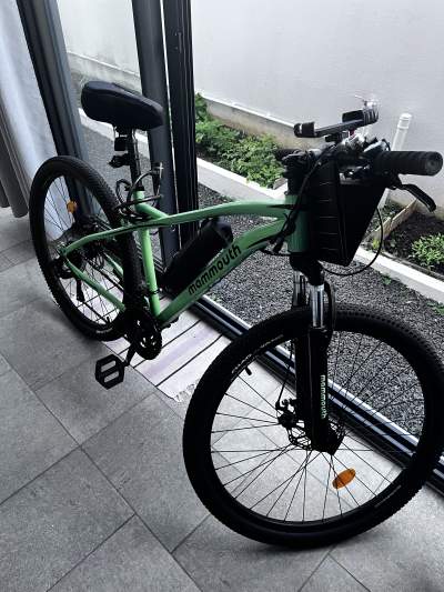 Mammouth bike green - Road bicycles on Aster Vender