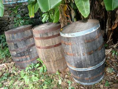 Tono a vin - Old Sculptures