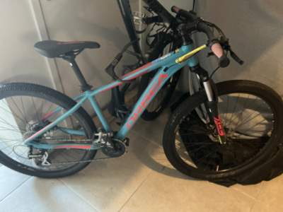 Mountain Bike - Orbea - Mountain bicycles