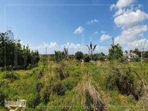 23 perches residential land is for sale in Melville, Goodlands - Land on Aster Vender