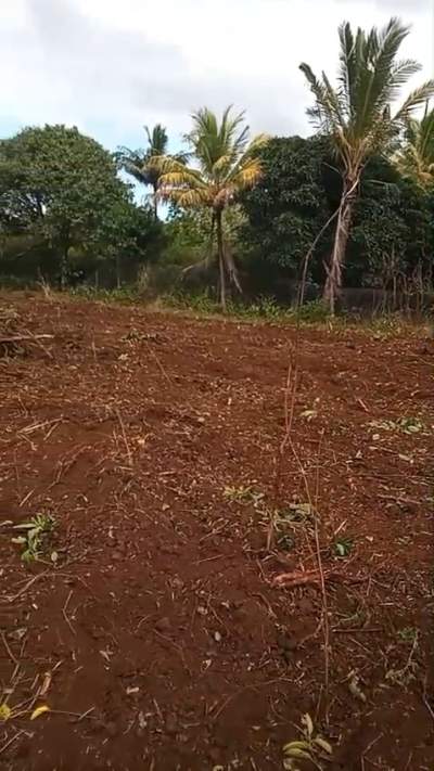 Terrain agricole, Deux Bras, 1 arpent 11 perches - Land