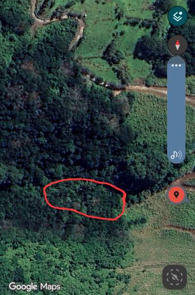 Terrain agricole, Anse Jonchée, 3 Arpents - Land