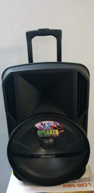 Karaoke Speaker Bluetooth - All electronics products
