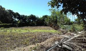 Residential Land-15 P - Land on Aster Vender