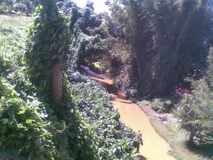 Terrain de 1677M2 situé dans un écrin de verdure au calme  - Land