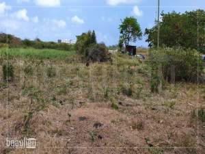 Residential land of 7 perches is for sale in Sottise,Vale - Land on Aster Vender