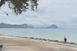 Rivière Noire magnifique  à 2 pas du lagon au clame avec une vue mer - Apartments