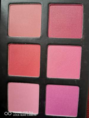 Blush  - Blush on Aster Vender