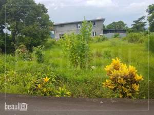 Land for sale in Montagne_Blanche - Land on Aster Vender