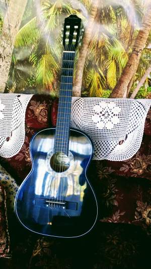 Classical guitar  - Other guitars on Aster Vender