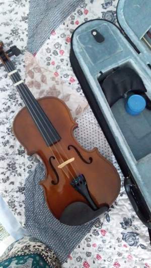 Valencia violin 3/4 - Violin on Aster Vender