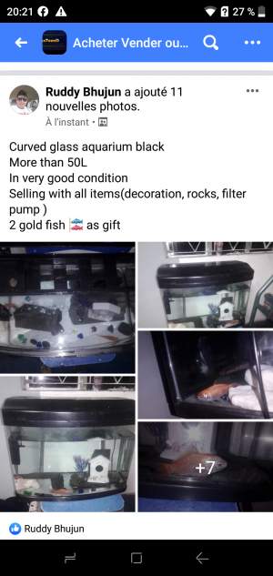 Curved glass aquarium for sale -  Aquarium fish on Aster Vender