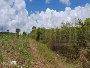 Agricultural land of 50 perches is for sale  in Melrose - Land on Aster Vender