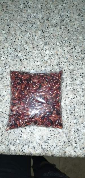 Haricot rouge local de Rodrigues  - Nuts and seeds
