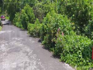 Residential land of 11 perches is for sale in Roche Terre - Land on Aster Vender
