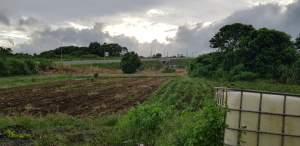 Agricultural land for sale (50 perches) - Land on Aster Vender