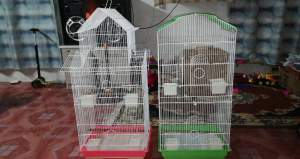 Bird cage - Others