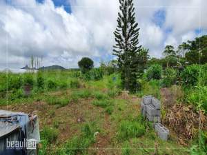 Residential land of 15 perches for sale in Providence, Quartier Milita - Land on Aster Vender