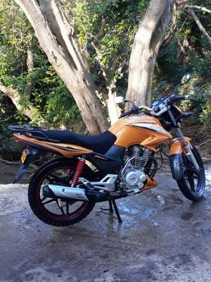 Motorcycle  - Roadsters