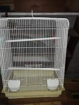Bird cage - Pets supplies & accessories on Aster Vender