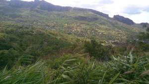 Agricultural Land - Land on Aster Vender