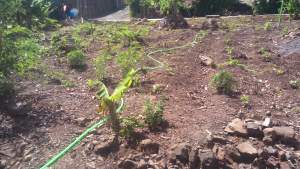 Residential Land - Land on Aster Vender