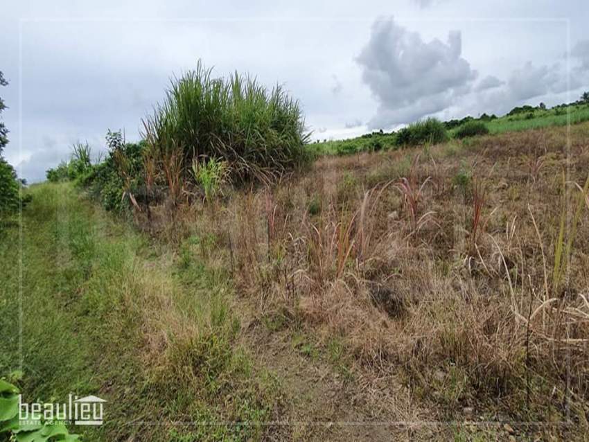 Agricultural land of 1 arpent 4 perches is for sale in La Flora - 0 - Land  on Aster Vender