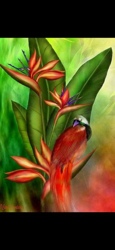 Selling flowers - 0 - Florist  on Aster Vender