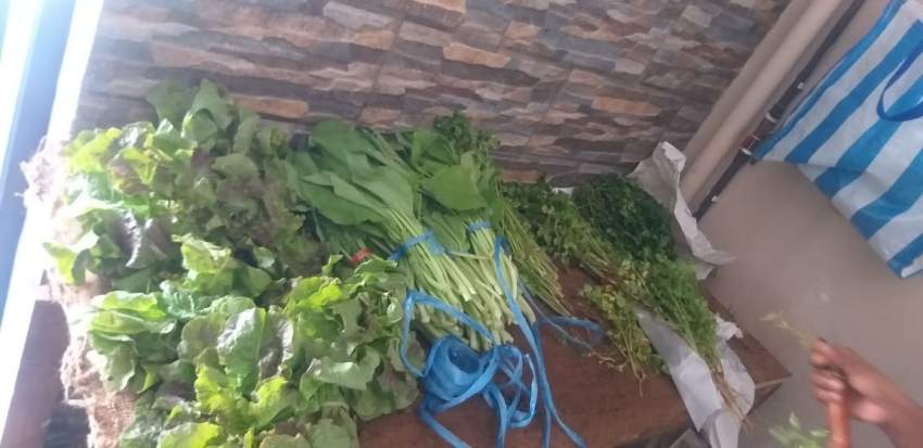 Légumes frais à vendre à Pailles - 1 - Fruits and Vegetables  on Aster Vender