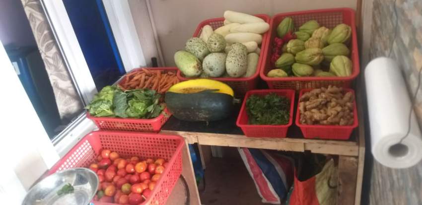 Légumes frais à vendre à Pailles - 0 - Fruits and Vegetables  on Aster Vender