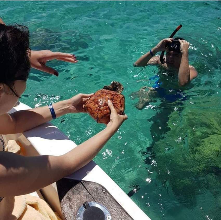 Snorkeling in Mauritius