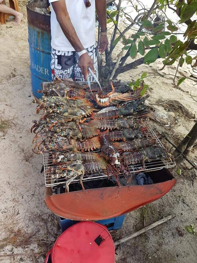 Small game fishing with barbecue on Ile aux Benitiers  - 2 - Fishing Trips  on Aster Vender