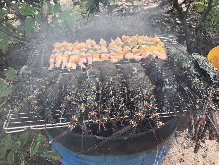 Small game fishing with barbecue on Ile aux Benitiers  - 1 - Fishing Trips  on Aster Vender